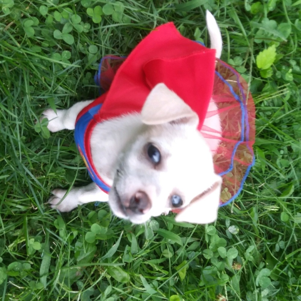 Meet your Posher, Kandis